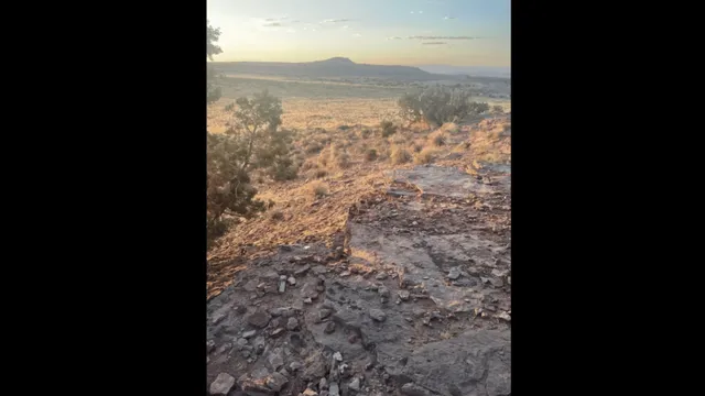 spot-the-fox-in-under-10-seconds-optical-illusion